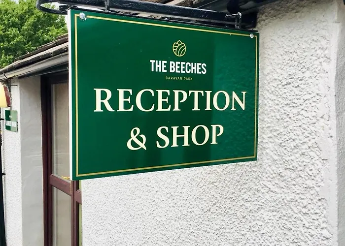 29 The Beeches Gilcrux