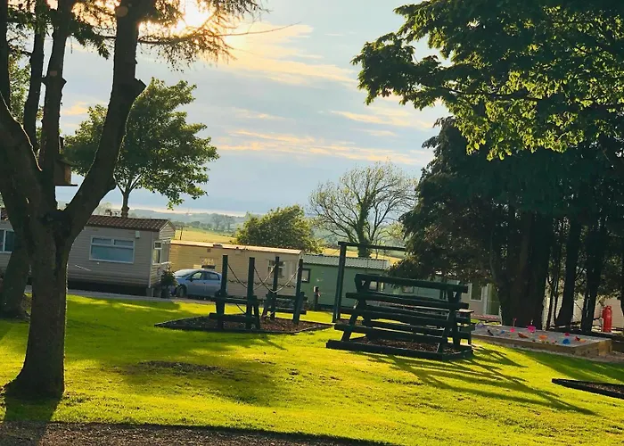 假日公园 29 The Beeches *